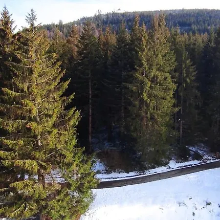 Ferienwohnung Tannenballett Im Schwarzwald Baiersbronn Exterior photo