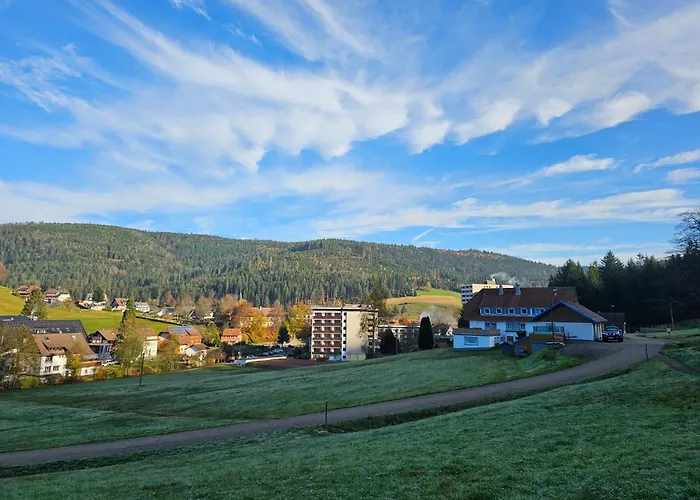 Ferienwohnung Tannenballett Im Schwarzwald
