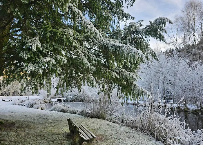 Ferienwohnung Tannenballett Im Schwarzwald