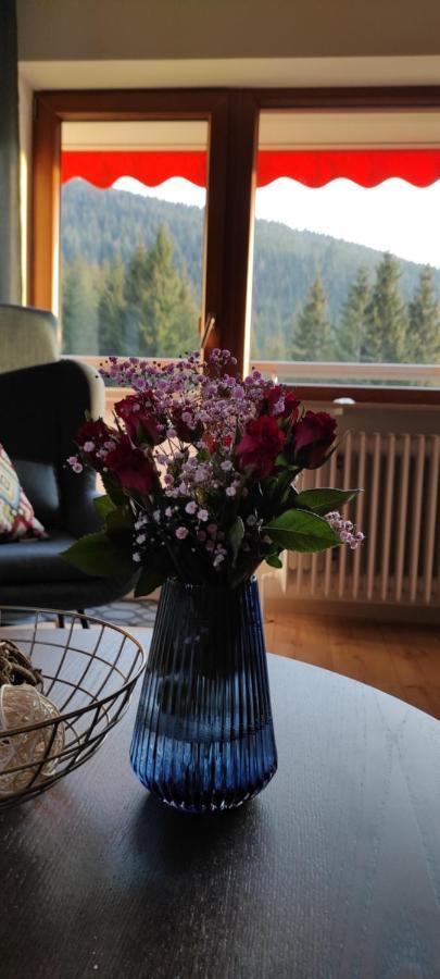 Apartment Tannenballett Im Schwarzwald