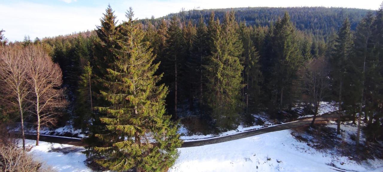 Tannenballett Im Schwarzwald Appartamento *
