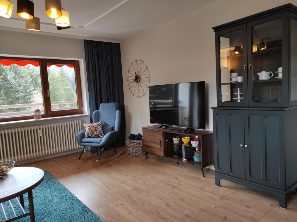 Tannenballett Im Schwarzwald Apartment *