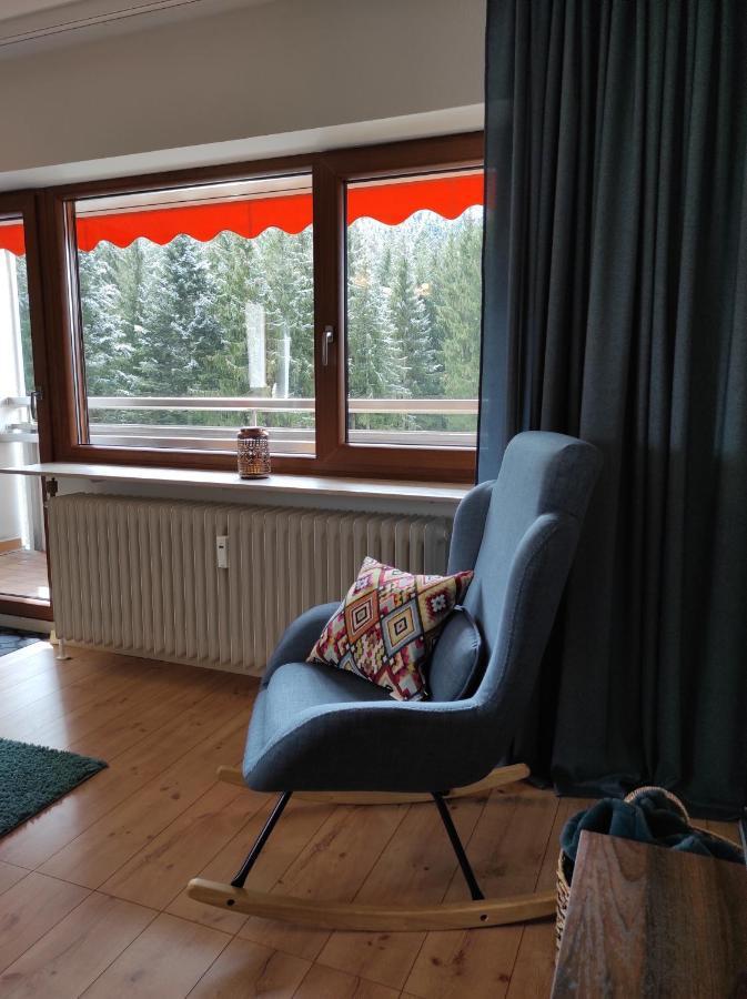 Apartment Tannenballett Im Schwarzwald *