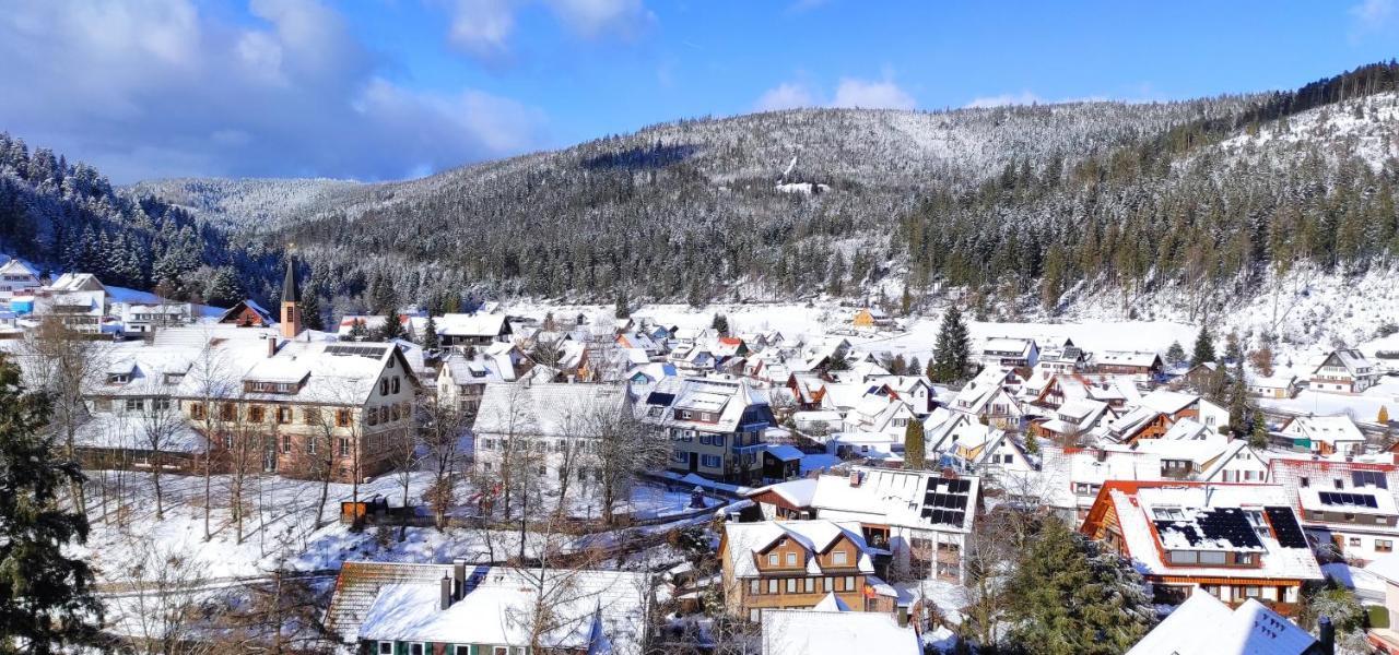 Tannenballett Im Schwarzwald Apartment Baiersbronn