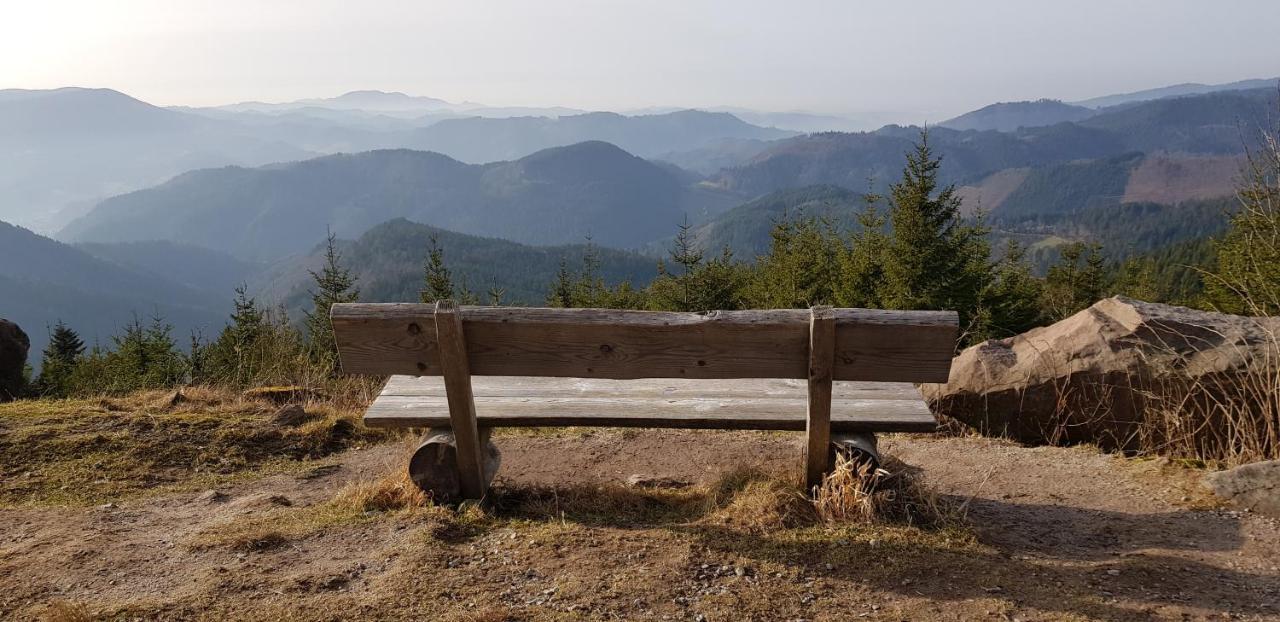 Tannenballett Im Schwarzwald * Baiersbronn