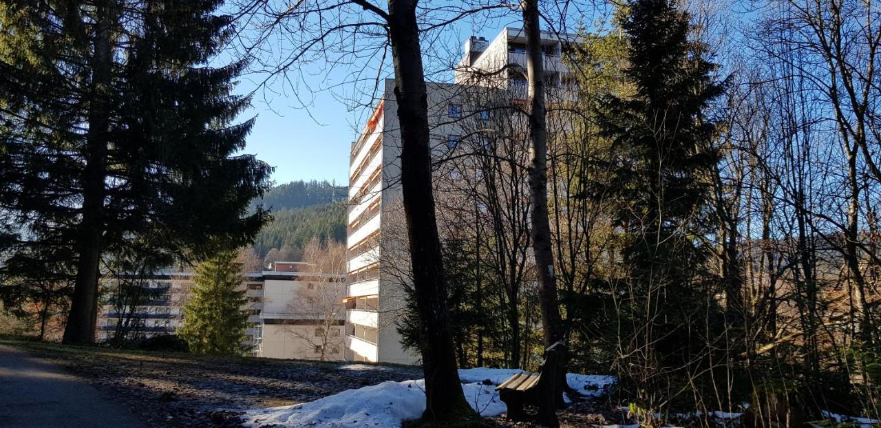 Tannenballett Im Schwarzwald
