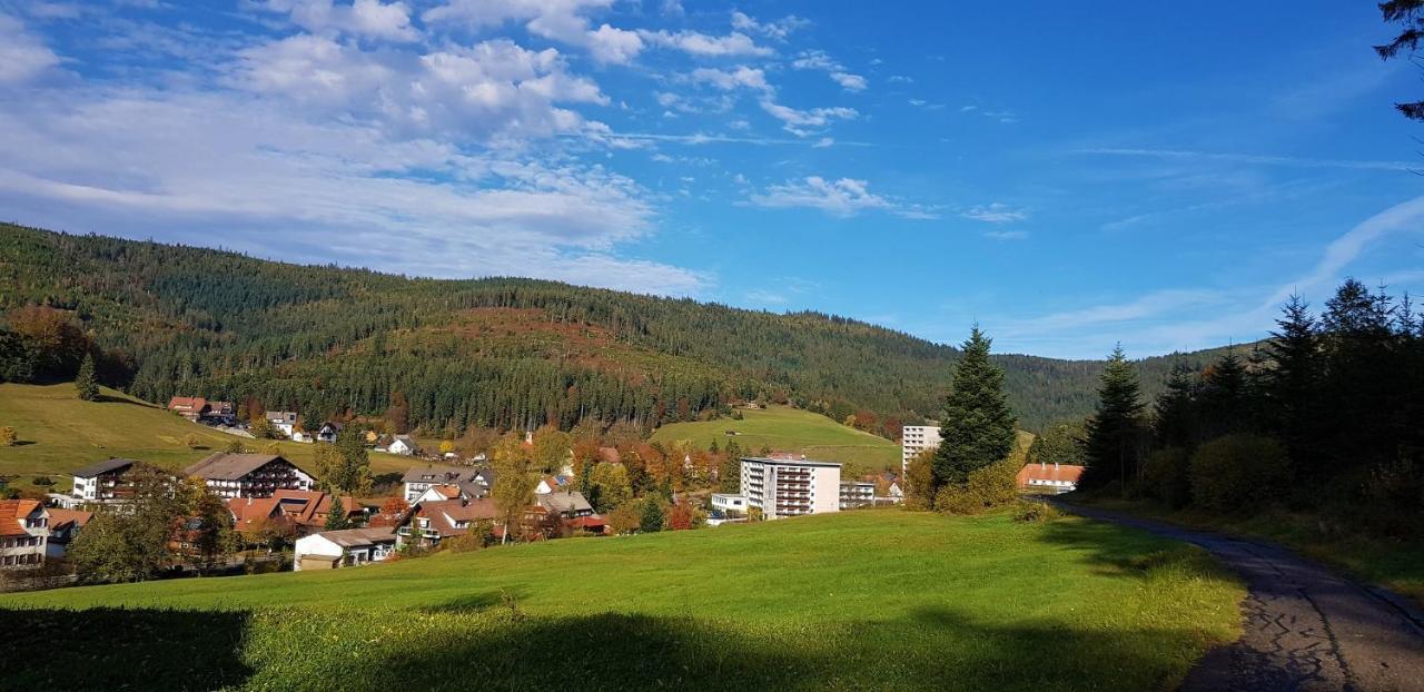 Tannenballett Im Schwarzwald Apartment
