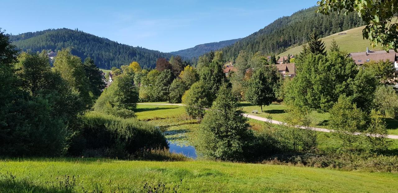 Tannenballett Im Schwarzwald Appartamento Baiersbronn
