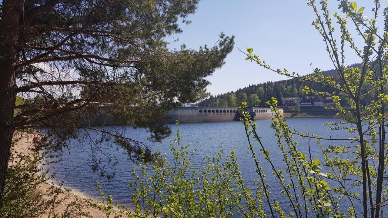 Tannenballett Im Schwarzwald Baiersbronn