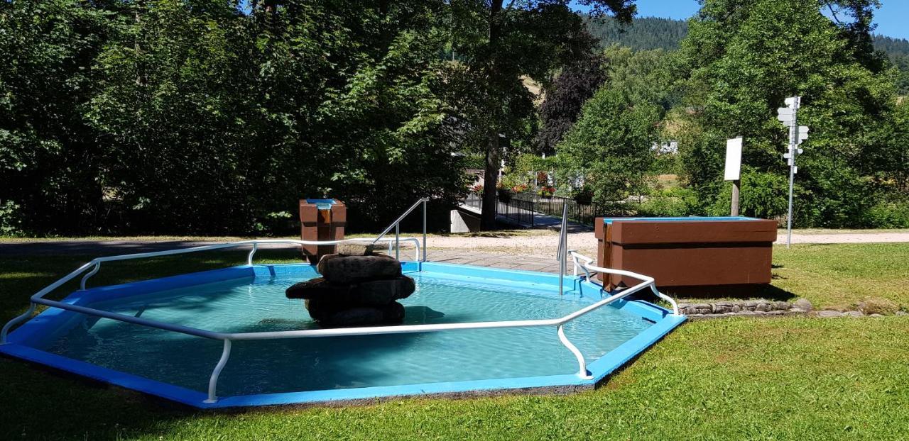 Tannenballett Im Schwarzwald Baiersbronn