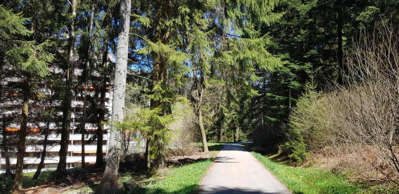Tannenballett Im Schwarzwald Baiersbronn