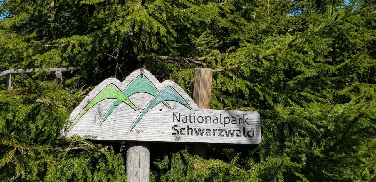 Tannenballett Im Schwarzwald
