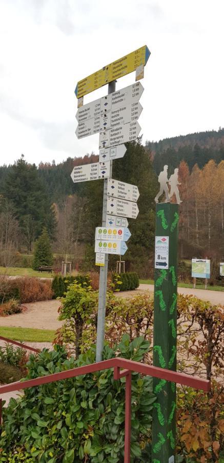 Tannenballett Im Schwarzwald *