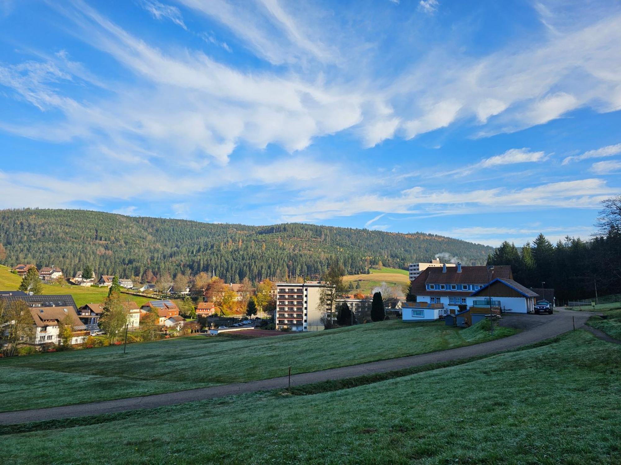 Tannenballett Im Schwarzwald
